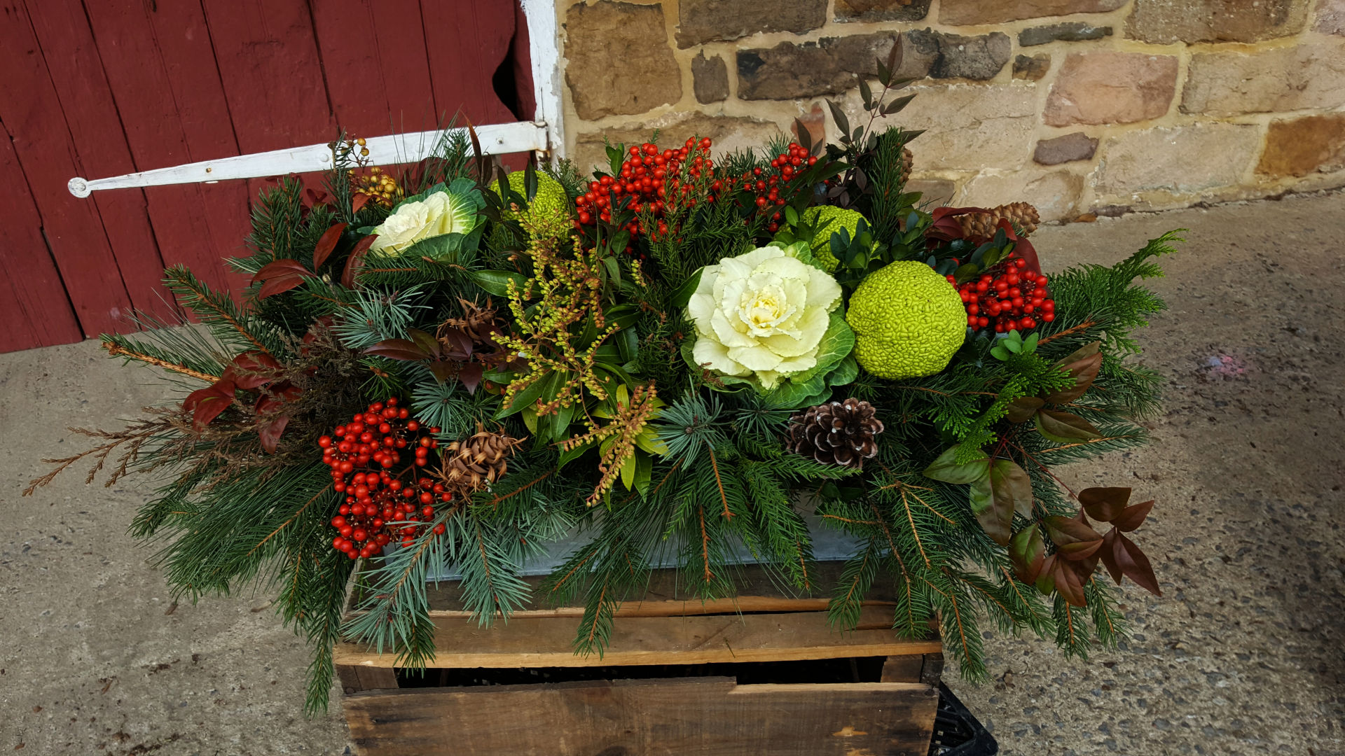 Osage orange arrangements